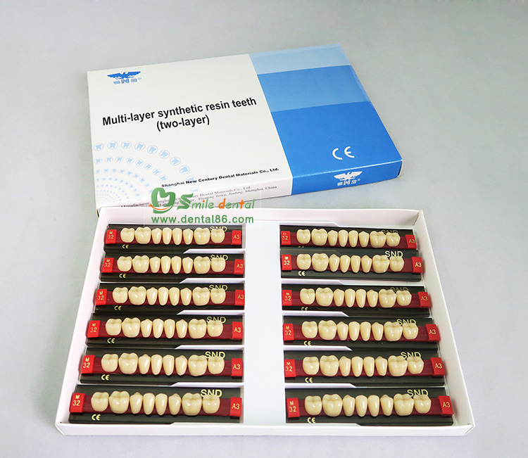 SDT-R202 Two Layer Acrylic Resin Teeth
